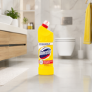 Domestos 750ml HIJYEN